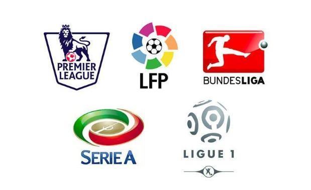 领域贡献的 领域贡献的